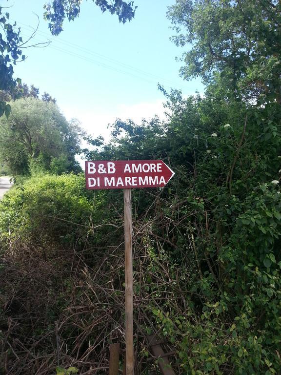 B&B Amore Di Maremma โกรเซตโต ภายนอก รูปภาพ