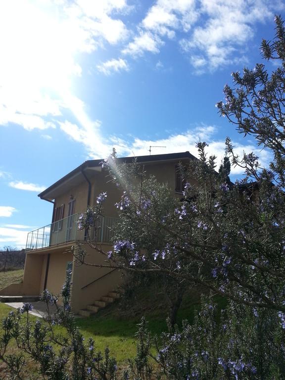 B&B Amore Di Maremma โกรเซตโต ภายนอก รูปภาพ