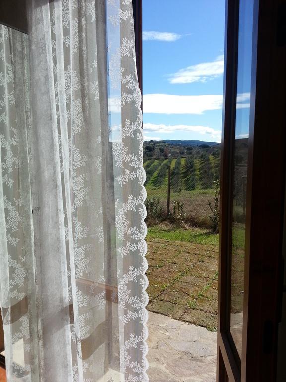 B&B Amore Di Maremma โกรเซตโต ห้อง รูปภาพ