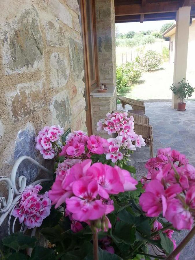 B&B Amore Di Maremma โกรเซตโต ภายนอก รูปภาพ